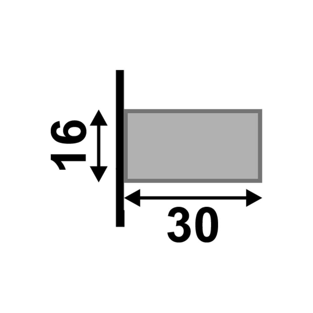 Ripa Santa Luzia em Poliestireno 30mm Champanhe Ripa Santa Luzia em Poliestireno 30mm Champanhe